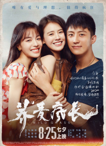 如狼似虎艳荡少妇高潮